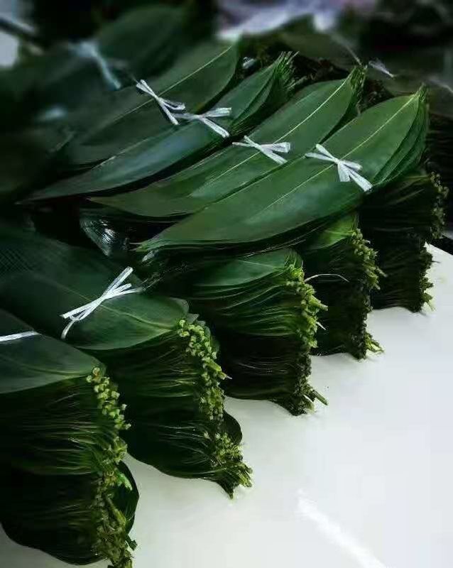 Daun Bambu Segar 7cm Bebas Polusi Untuk Dekorasi Sushi