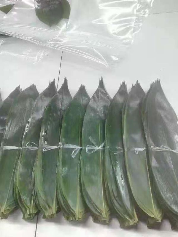 100% Daun Bambu Segar Alami 32cm Untuk Paket Makanan