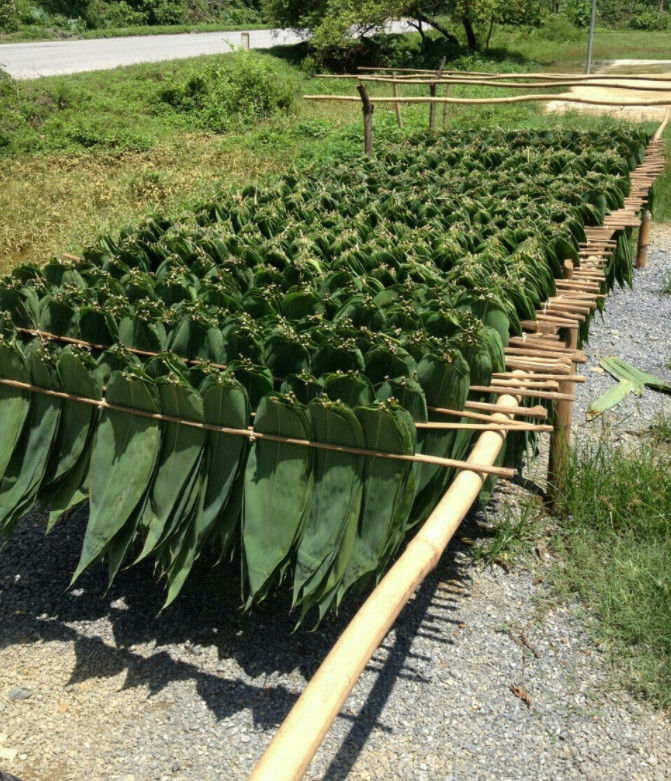 Tanpa Polusi 30cm Daun Kering Bambu Untuk Makanan Sushi