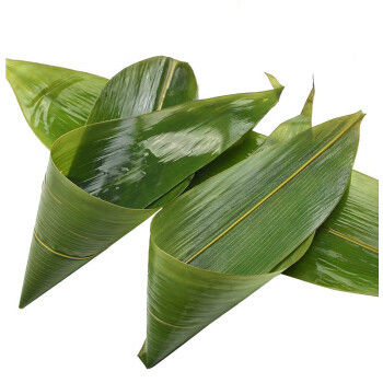 Daun Bambu Segar 33cm Ramah Lingkungan Untuk Makanan Sushi