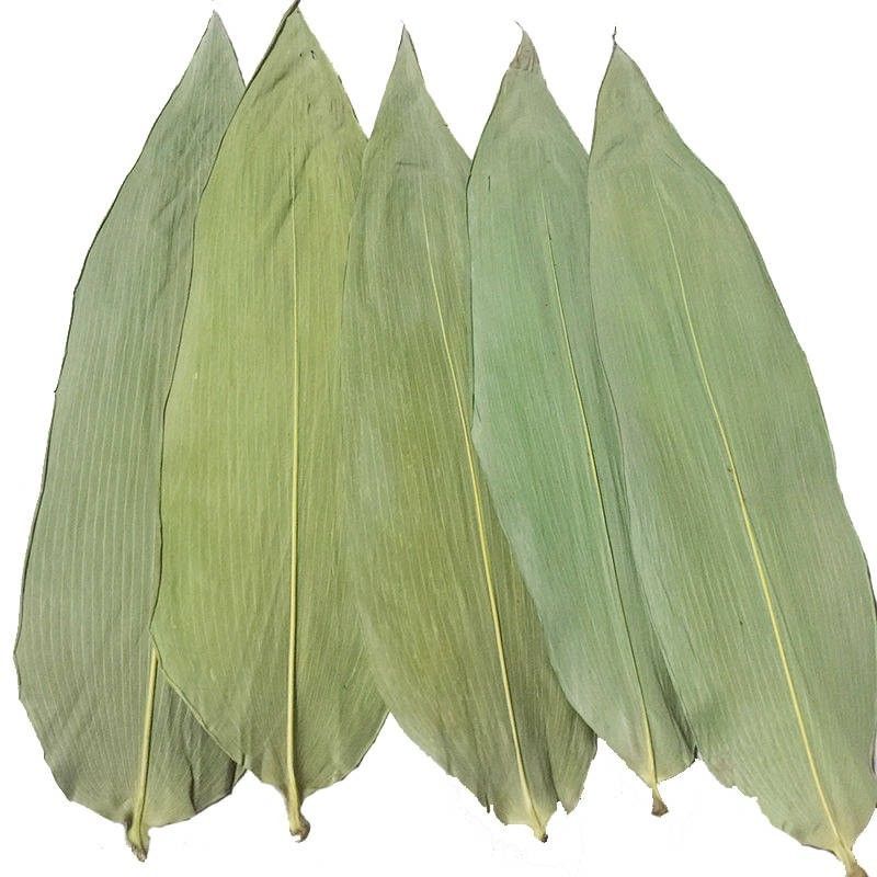 Daun Bambu Segar 33cm Ramah Lingkungan Untuk Makanan Sushi