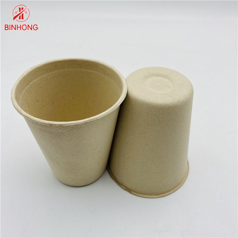 Cetakan Pulp Warna Alami Cangkir Kertas Sekali Pakai Biodegradable 8oz