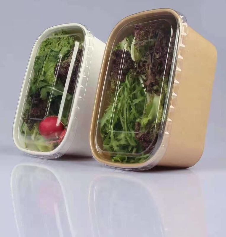 Kotak SGS Paper Take Away Kotak Sekali Pakai Biodegradable