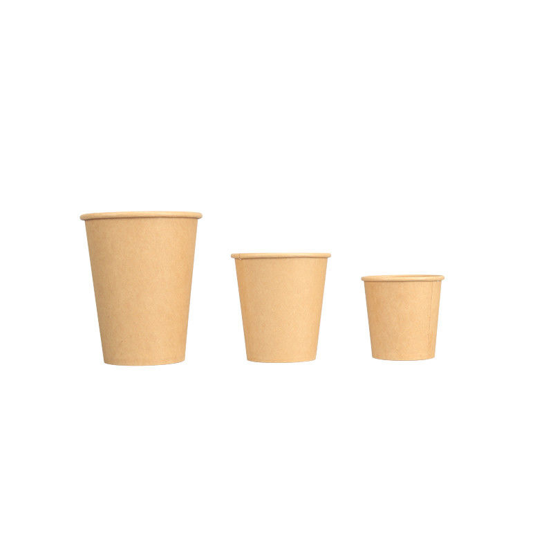 Cangkir Kertas Sekali Pakai Terisolasi 7oz 8oz 10oz 12oz