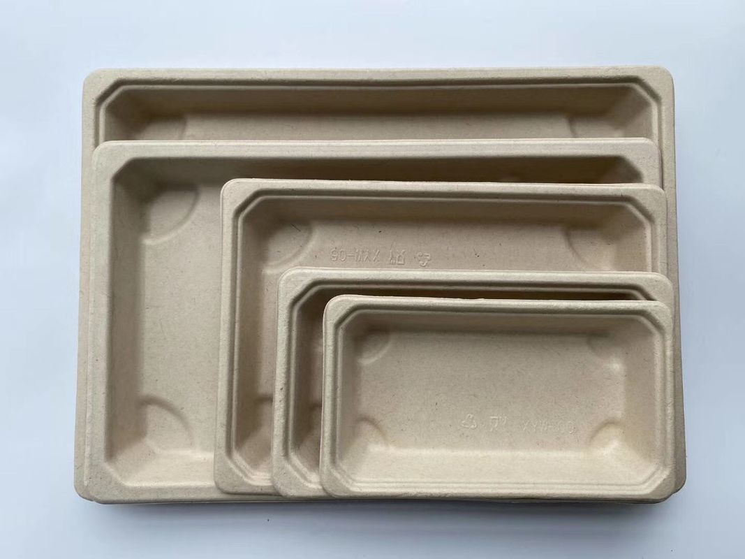 Paper Sushi Biodegradable Take Away Box Sekali Pakai