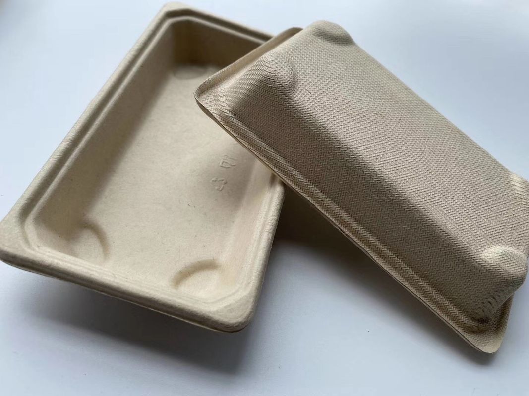 Paper Sushi Biodegradable Take Away Box Sekali Pakai