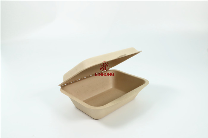 Sugarcane Desechables Fast Food Packaging Box Biodegradable Compostable
